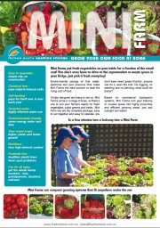 Hydro Masta's Mini Farm Brochure